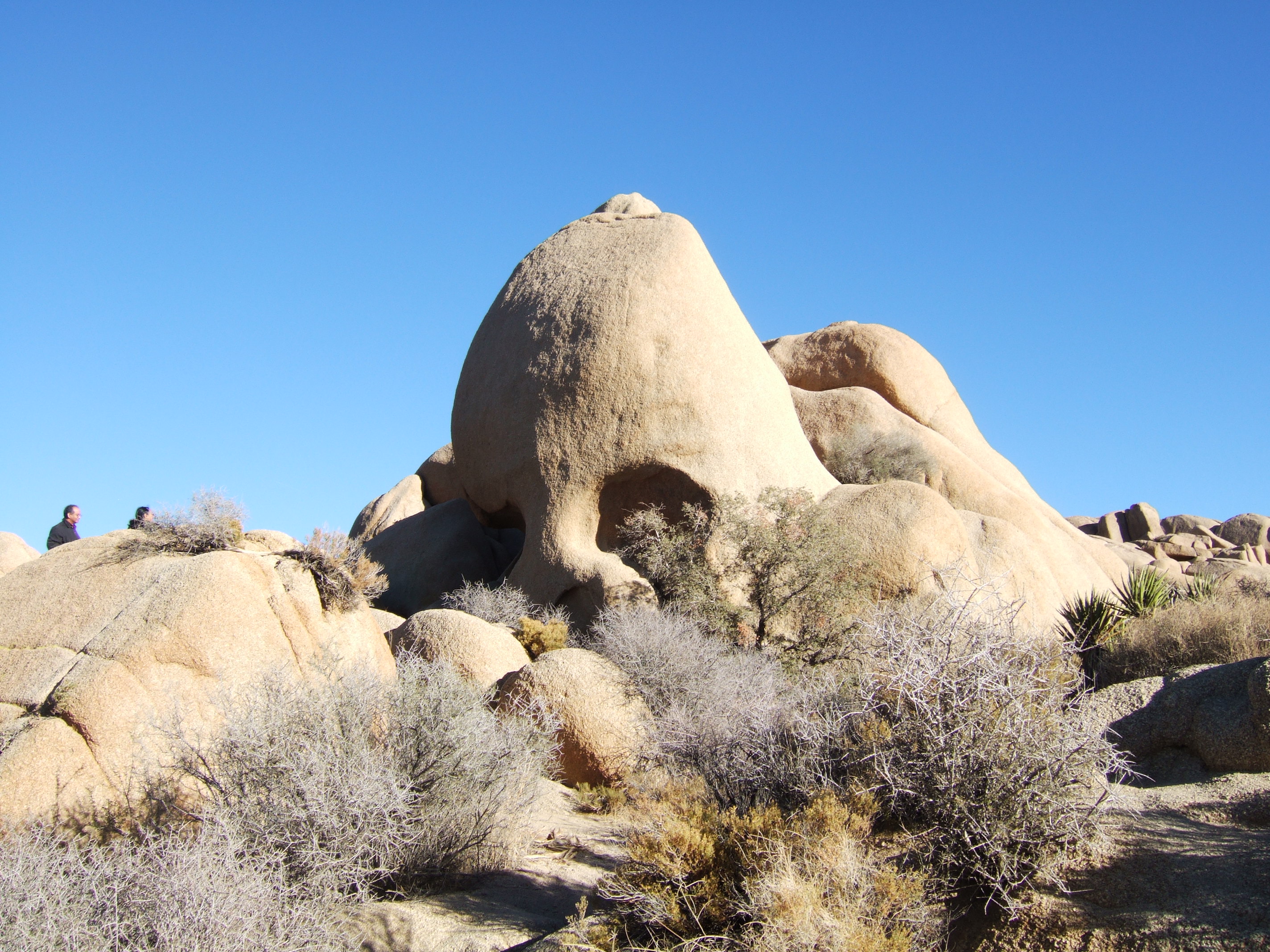 Joshua Tree NP